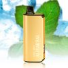 ALIBARBAR INGOT 9000 Puffs Cool Mint