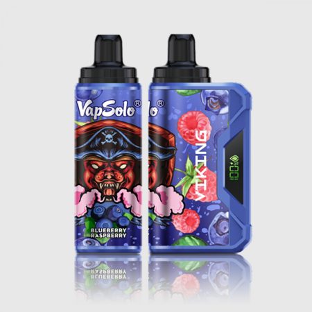 VapSolo VIKING 12000 Puffs Blueberry Raspberry