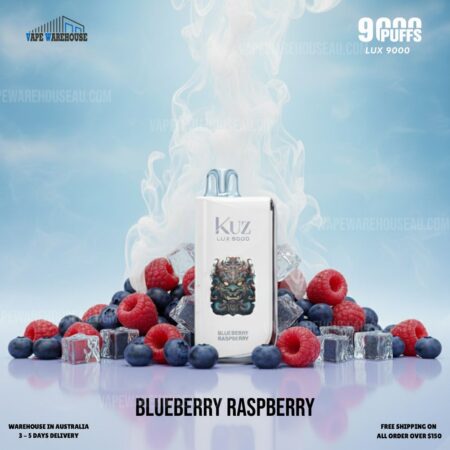 Kuz LUX 9000 Puffs Blueberry Raspberry