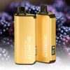 ALIBARBAR INGOT 20000 Puffs Blackberry Ice