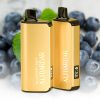 ALIBARBAR INGOT 20000 Puffs Blueberry Mint