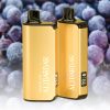 ALIBARBAR INGOT 20000 Puffs Grape Ice