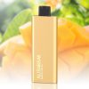 ALIBARBAR Pandora 7000 Mango Magic