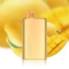 ALIBARBAR RICH 8000 Puffs Mango Magic