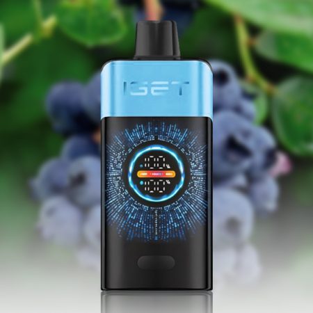 IGET One 12000 Puffs Blueberry Ice