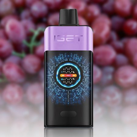IGET One 12000 Puffs Grape Ice