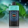 IGET One 12000 Puffs Mountain Spring Mint Ice