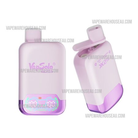 VapSolo Twins 20000 Puffs Grape Ice & Strawberry Kiwi